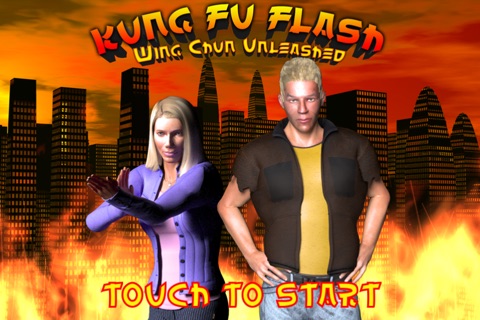 Kung Fu Flash:  Wing Chun Unleashed screenshot 3