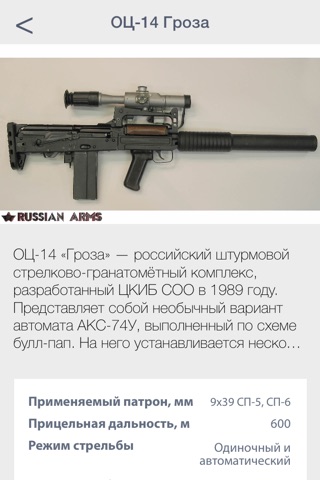 Russian arms screenshot 3