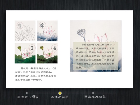 Appreciation of the Famous Flower-and-Bird Paintings screenshot 3