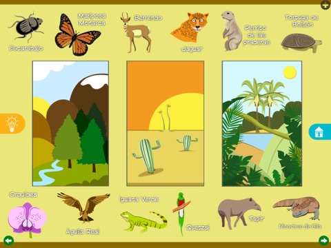 Mi Libro Verde ecosistemas terrestres screenshot 4