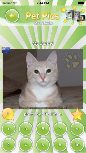 Pet Pics(圖1)-速報App