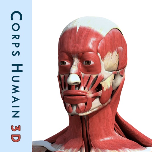 Corps humain 3D : Anatomie Humaine Interactive icon