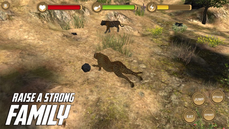 Leopard Simulator HD Animal Life screenshot-4