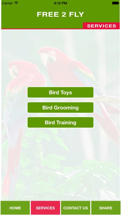 FREE 2 FLY screenshot-3