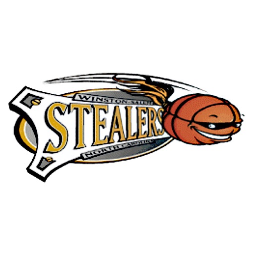 Winston-Salem Stealers Girls' Basketball Icon
