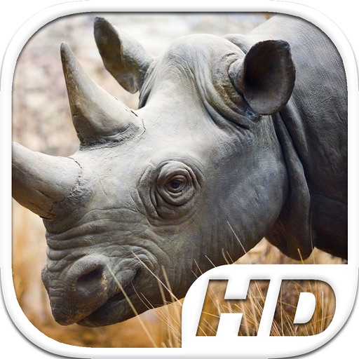 Rhino Simulator HD Animal Life icon