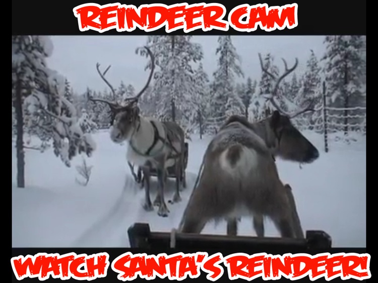 ReindeerCam - Watch Santa's Reindeer & More