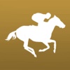 Horse Racing Insider - News & Results