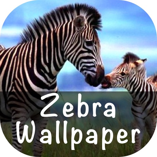 Zebra Wallpaper icon