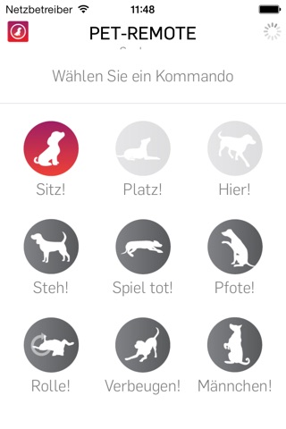 Pet-Remote - Control your dog or pet screenshot 3