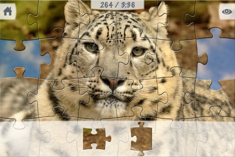 JIGSAW PUZZLEs Nuremberg ZOO for preschool children, schoolchildren and adults screenshot 4