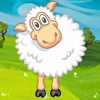 Sheep Day