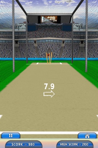 Hit The Wicket screenshot 3