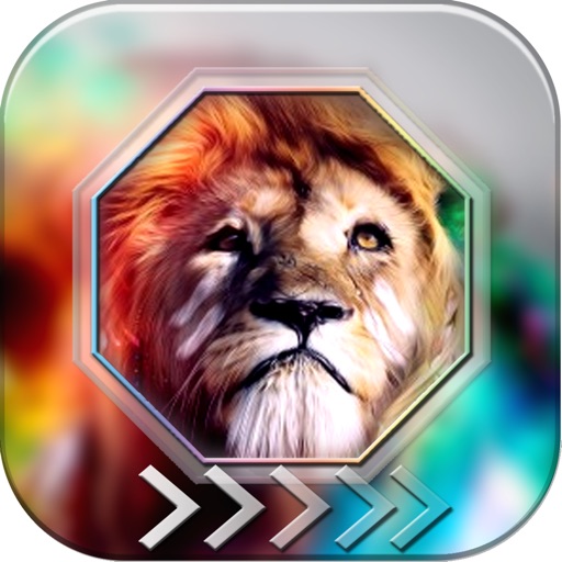 BlurLock – Animals in the Zoo : Blur Lock Screen Photo Maker Wallpapers Pro