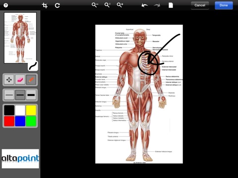 AltaPoint Advanced EHR screenshot 3