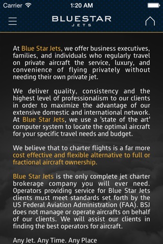 Blue Star Jets screenshot 4