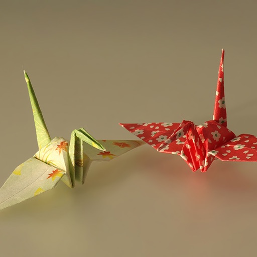 Origami Paper Craft icon
