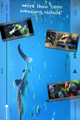 iAquarium screenshot 2