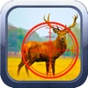 Buck Hunter