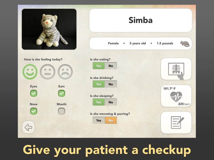 Dr. PetPlay - Pretend Play Veterinarian With Your Own Stuffed Toy Animals screenshot-0