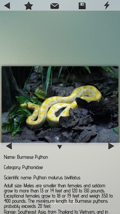 Snakes-Encyclopedia
