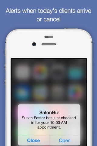 SalonBiz Cloud screenshot 2