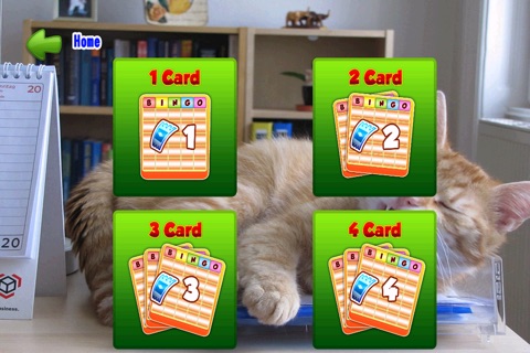 Bingo Cats Game screenshot 2