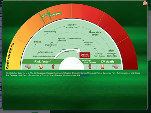 Cardiovascular risk and prevention - Risk Calculator screenshot 3