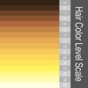 Hair Color Level Scale