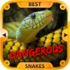 The Best Dangerous Snakes