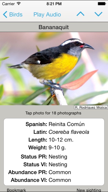 Puerto Rico and Virgin Islands Birds