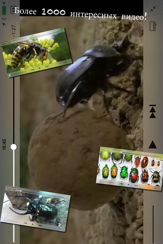 BugPedia screenshot 2