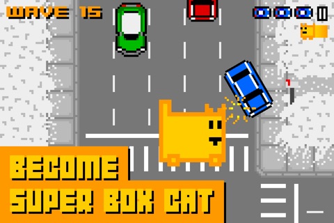 Box Cat screenshot 3