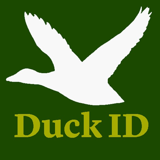 Duck ID 