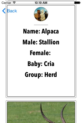 Animal Names screenshot 3