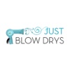 Just Blow Drys