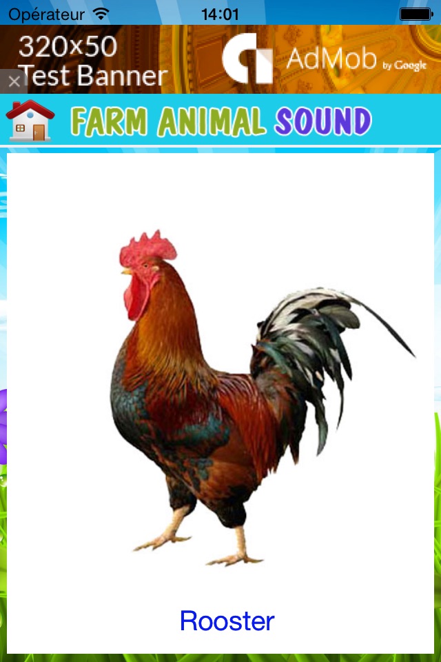 Best animal sound for kids screenshot 2
