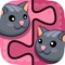 Tiny Animals - Match Pairs Prof