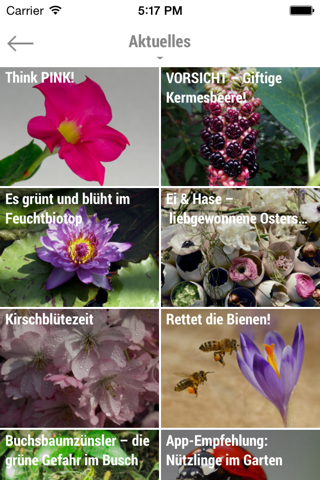 Garten Tipps - GartenAkademie.com screenshot 2