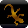 Gekko