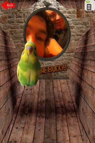 Budgie Buddy screenshot 2