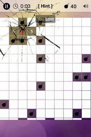 Minesweeper Puzzle screenshot 2