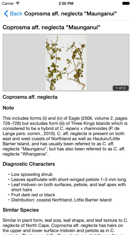 NZ Coprosma Key screenshot-3