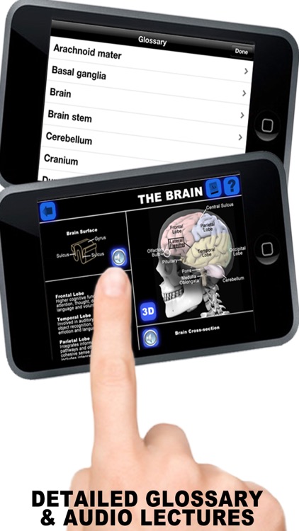 Anatomy 3D - Organs screenshot-4