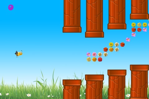 Crazy Bee Pro - Unlimited Fun screenshot 3