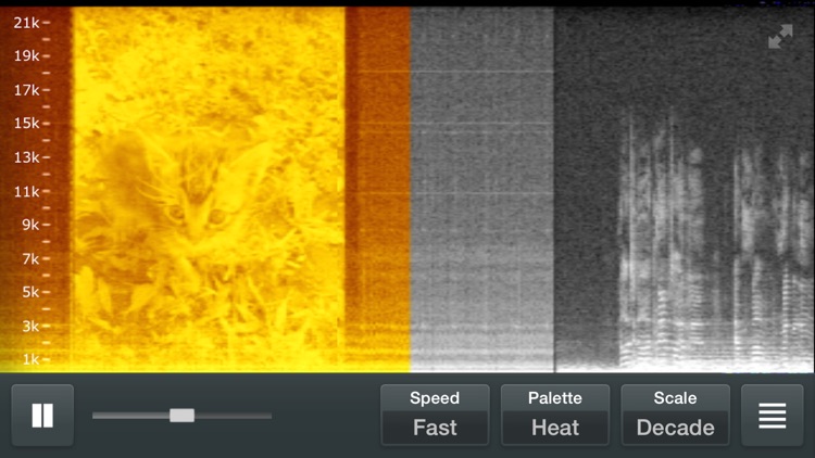 Spectrum Analyzer - Real Time Sound Frequency Analyzer screenshot-3