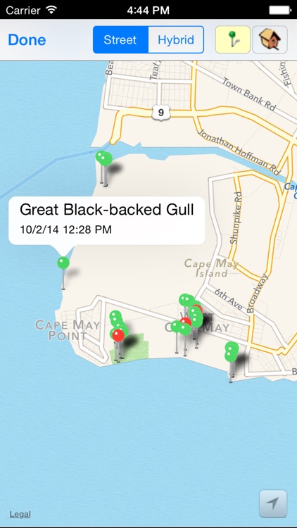 Birdwatcher's Diary screenshot-3
