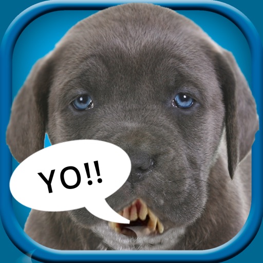 Make My Pet Talk