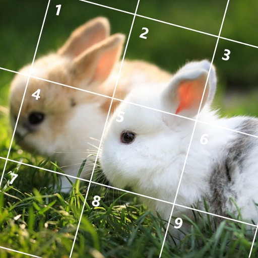 Rabbit Jigsaw Puzzles iOS App