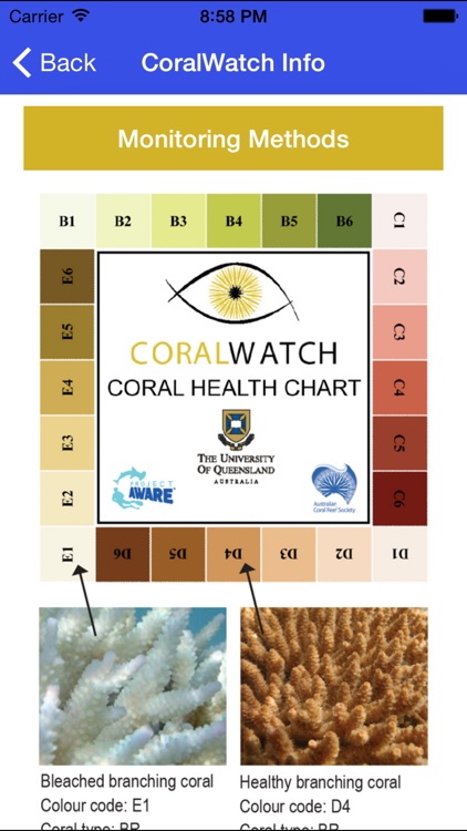 CoralWatch Info screenshot-3